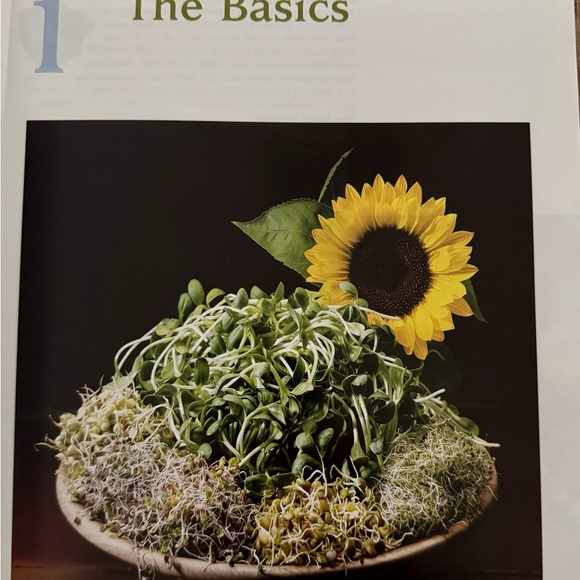 The Raw Gourmet Cookbook NWOT - Picture 4 of 9